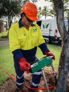Growth Regulator Soil Injection for Trees