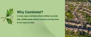 Why Cambistat