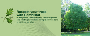 Respect Your Trees with Cambistat