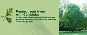 Respect Your Trees with Cambistat