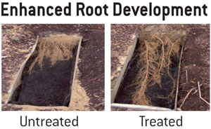 Enhanced Roots